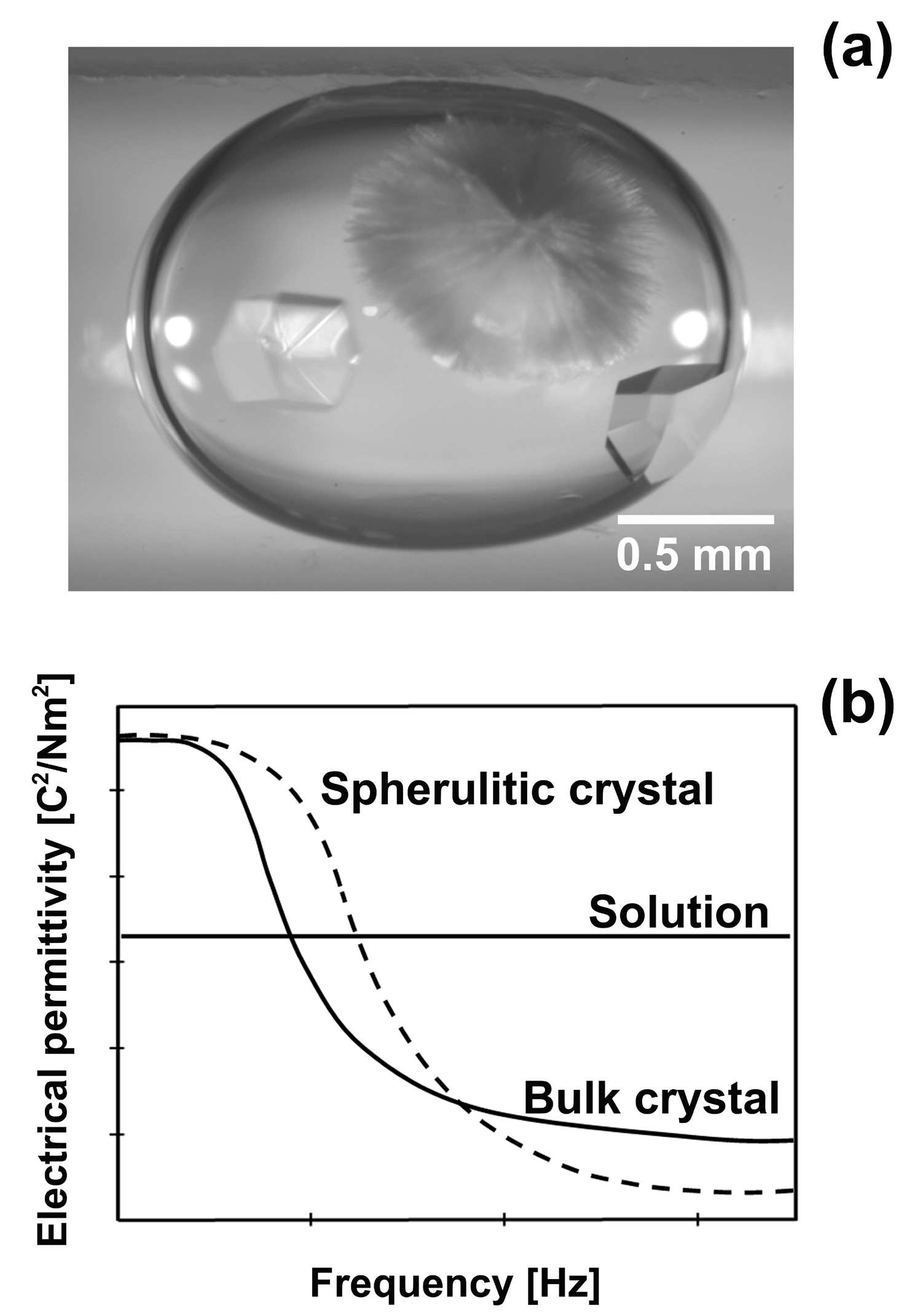 Fig.1